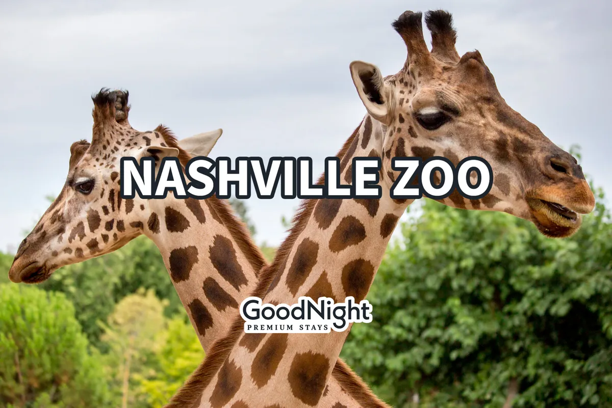 A joyful scene at the Nashville Zoo, featuring giraffes surrounded by lush greenery. Visitors can be seen observing the animals, capturing the fun and excitement of a family day out at one of Nashville’s favorite attractions.